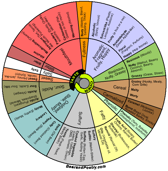 Beer Flavor Wheel